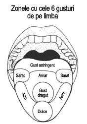 punctele de gust pe limba 